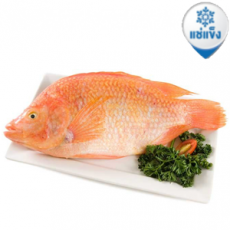 ปลาทับทิม ★★900g-1,200g★★ 레드틸라피아-빠타틴1개입