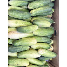 แตงกวาเล็ก1กิโลกรัม  작은오이1kg