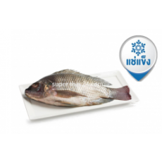 ★1 ตัว★ ปลานิล ขนาด ★★900g-1,200g★★ 블랙틸라피아-빠닌 1개입