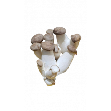 เห็ดออรินจิดอกเล็ก 450-500กรัม ★미니★ 새송이버섯 450g-500g