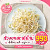 ⏰SALE⏰ ถั่วงอกสด 250g